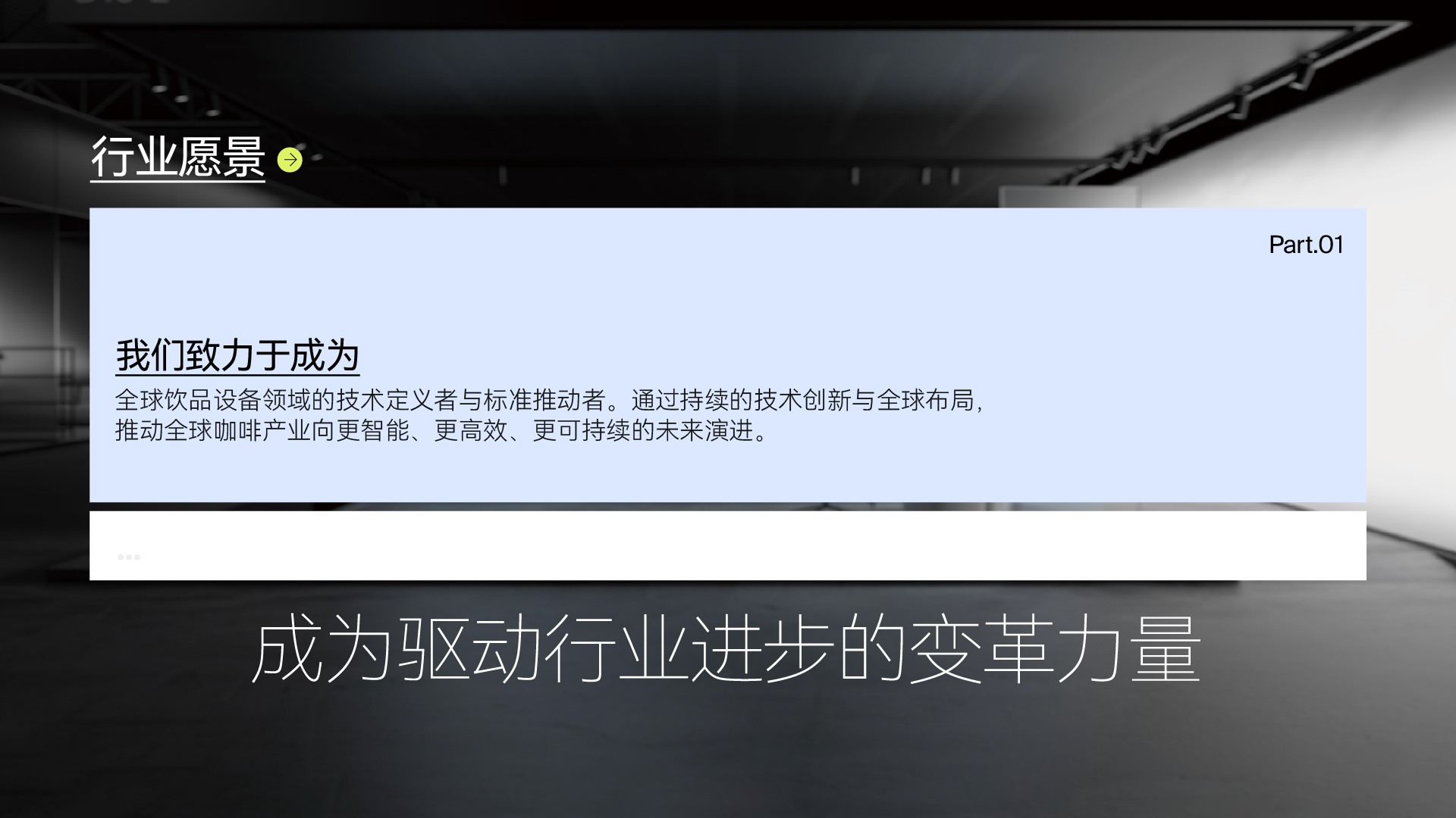 公司概况 11